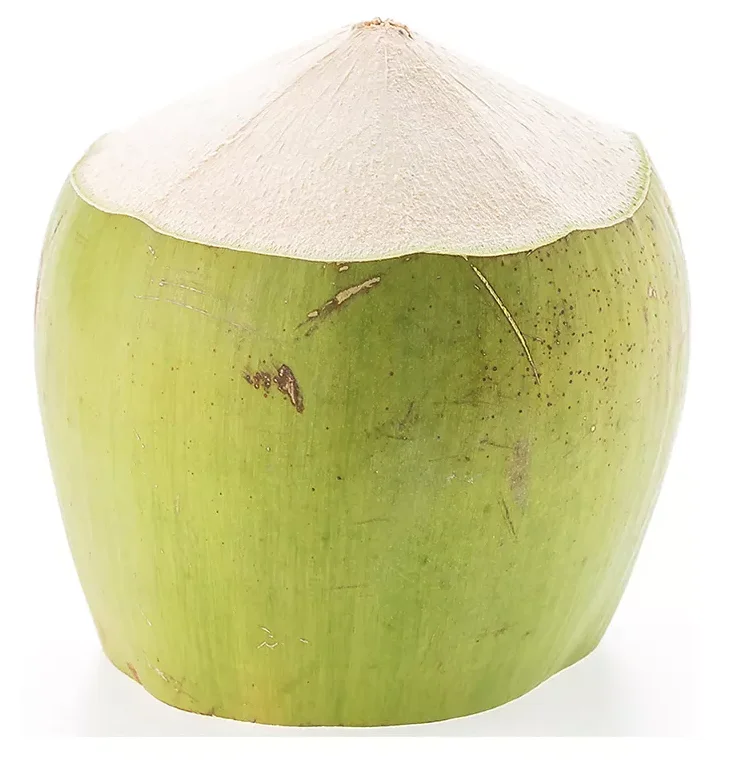 High Quality Ready to Ship Young Coconut Aromatic Semi-Husked Diamond Cut Green Fresh Coconut for Importer Original Thailand