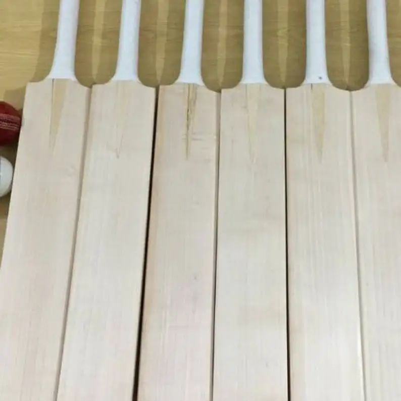 Regular size pakistani Cricket Bat Exclusive Cricket Bat for Adult Full Size with Full Protection Cover Super Power, Cannon