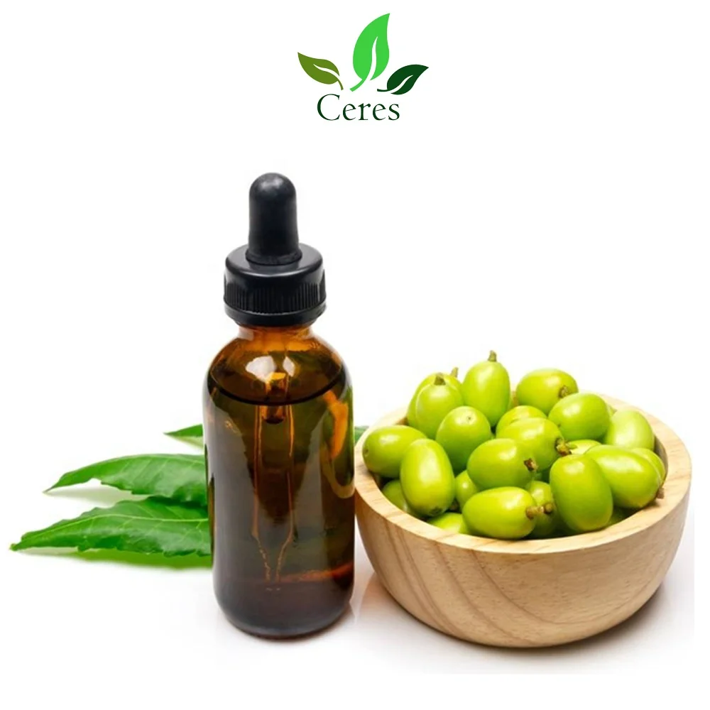 Minimal Price Highest Selling 100 % Pure and Organic Essential Neem Oil for Bulk Buyers in Australia & Europe Health Care