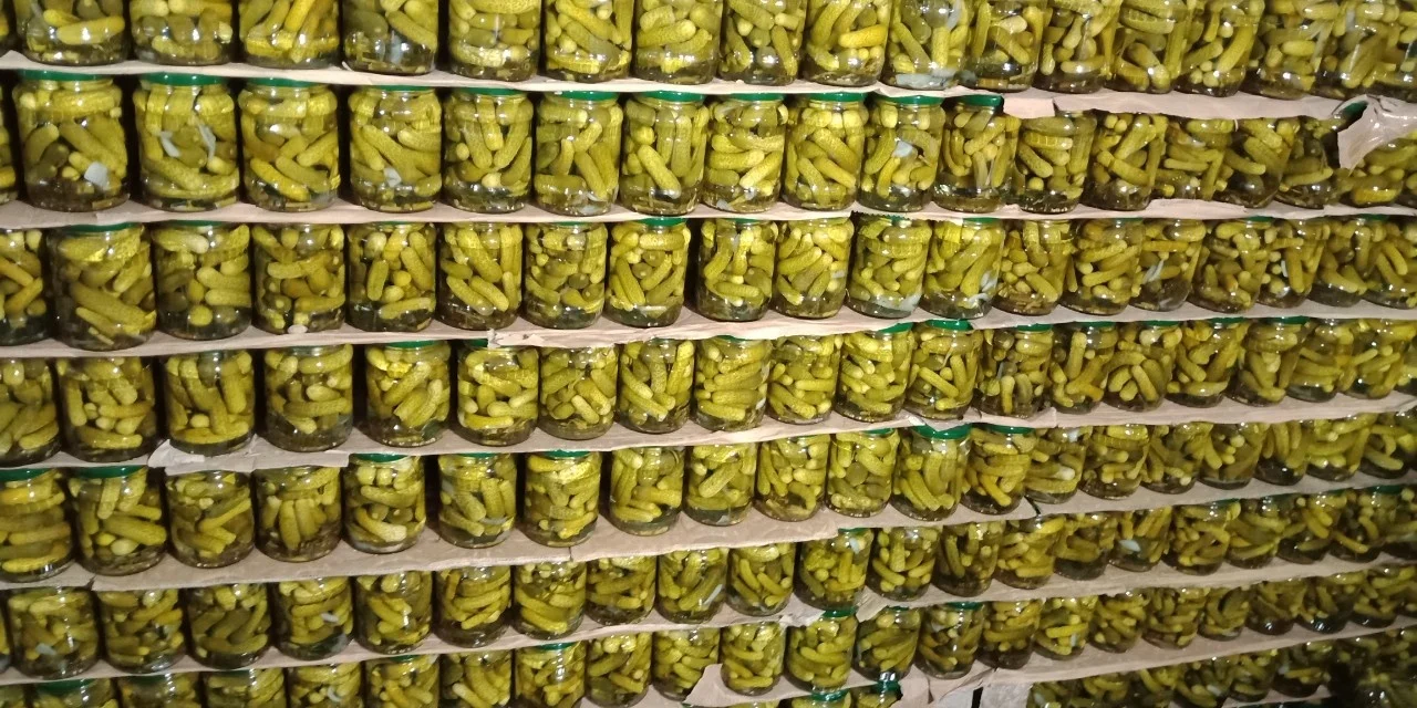VIETNAMESE CANNED PRODUCER FOR PICKLED BABY CUCUMBERS INCLUDING SMALLEST JAR 370ML SIZE 3-6CM CHOICE QUALITY