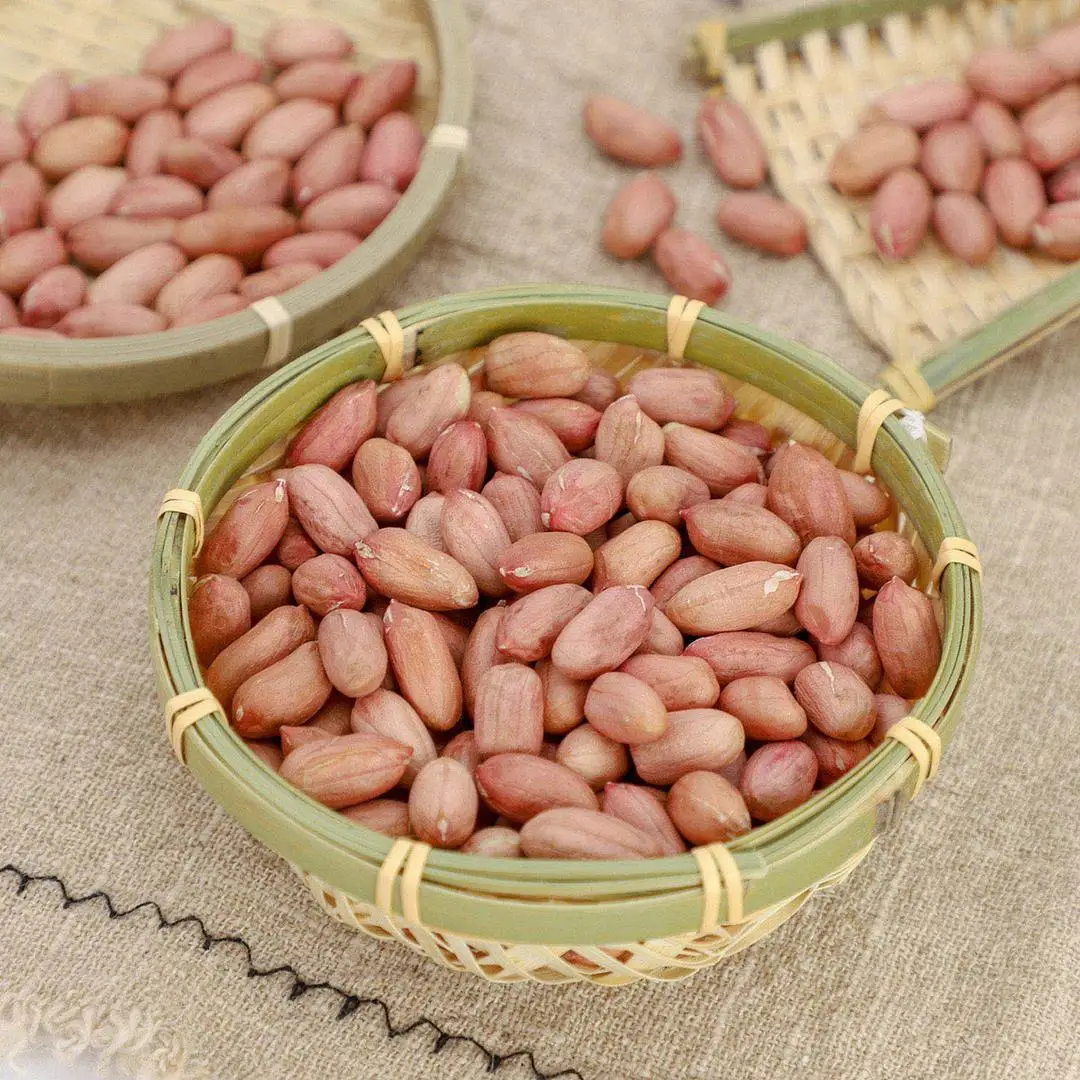 Buy High-quality PEANUT at cheap price