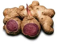 Top-Quality Organic best price hot sell free sample Thai black Ginger