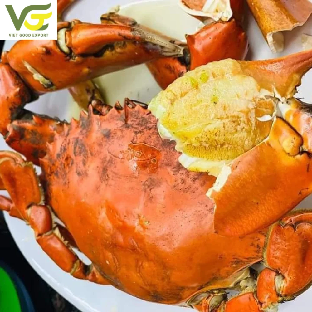 WHOLESALE MUD CRAB/ CRAB ROE /MEAT CRAB  HIGH QUALITY FROM CA MAU PROVINCE