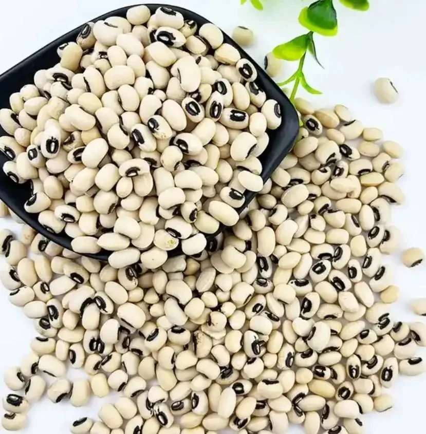 Wholesale Natural Black Eyed Beans/ Non-GMO White Cowpea bean in Bulk