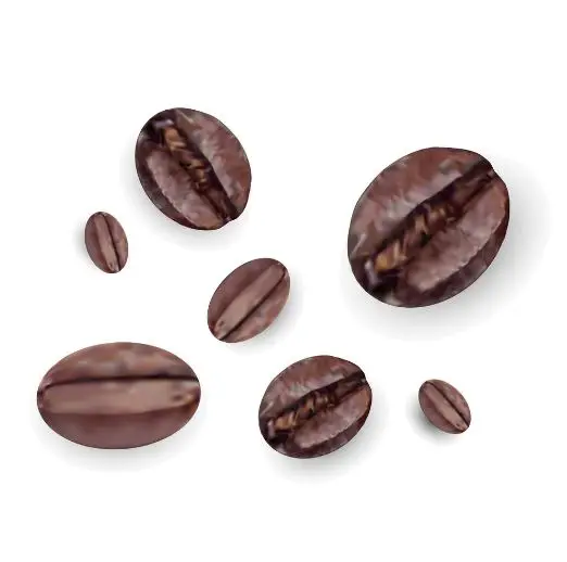 100% High Quality Export Oriented Cheap Price Hot Sale Coffee Beans Wholesale Arabica Coffee Beans Roasted From Indonesia