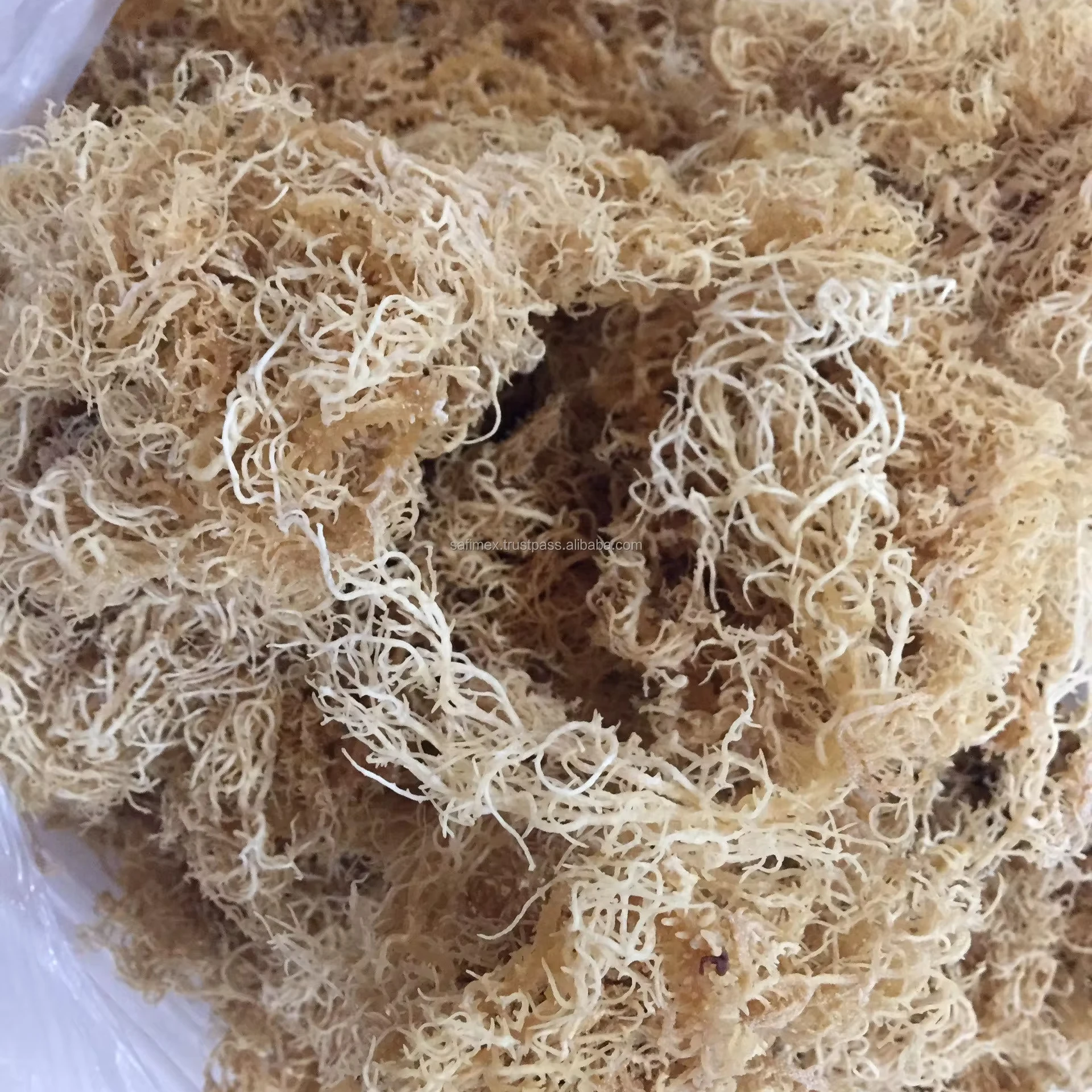 OEM Golden wildcraft sea moss/Raw sea moss wholesales/Eucheuma cottonii seaweed good price high quality 2024