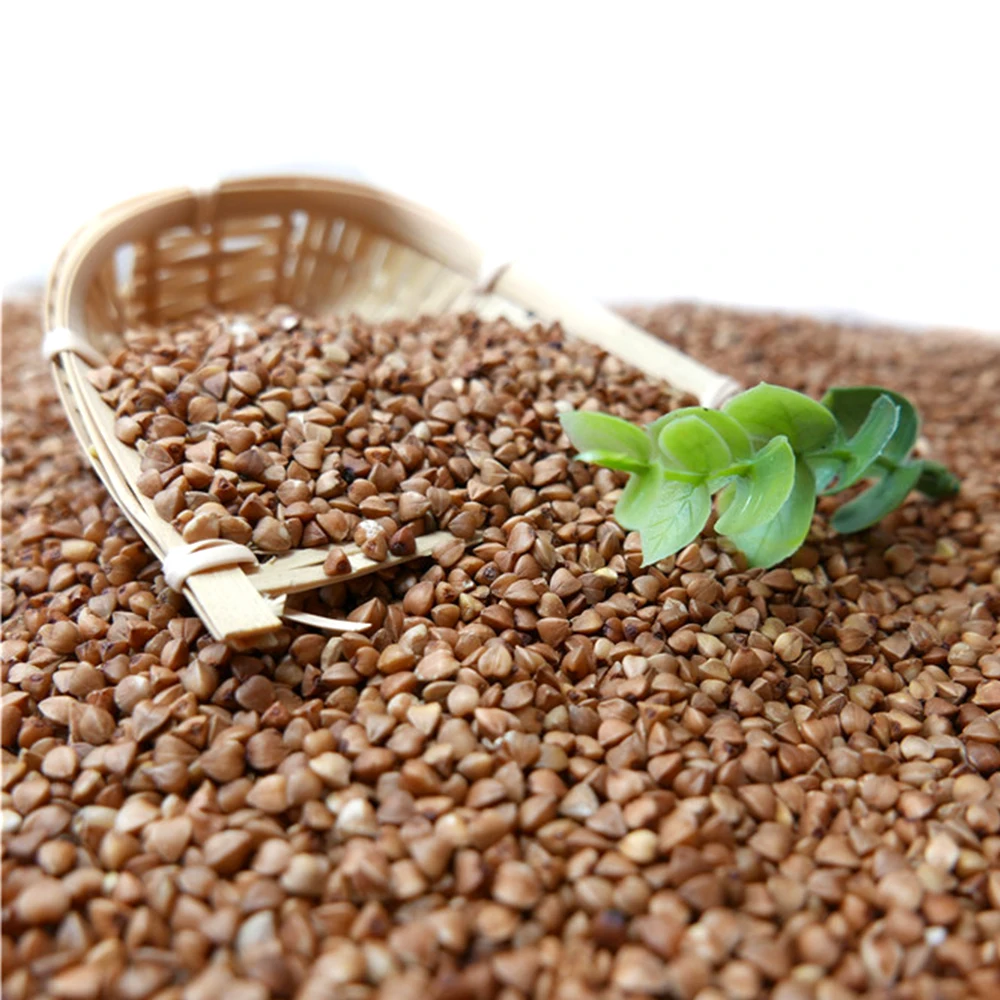 Direct Supply wholesale hulled buckwheat / Organic Buckwheat grain / buckwheat