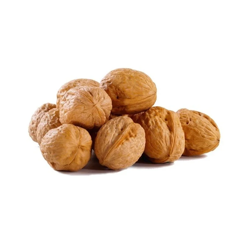 Walnuts special Dried Whole walnuts with Natural Sweet Bulk Style