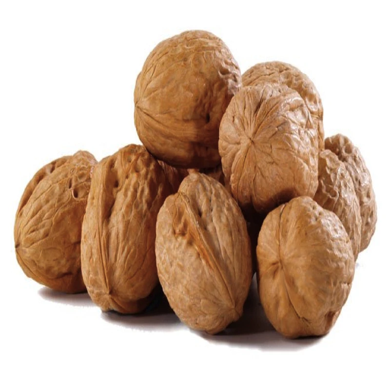 Cheap Wholesale other Price Trade Nuts And Dried Mixed Fruits Drying Import Nuts Walnuts Raw In Shell