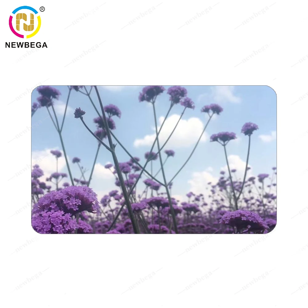 NFC Smart  PVC Plastic Offset Printing Business Card Small Thank You Cards