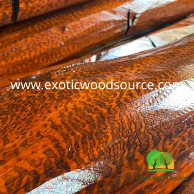 Бревна из змеиной древесины класса ААА | Плотная и прочная древесина лиственных пород Ограниченная поставка