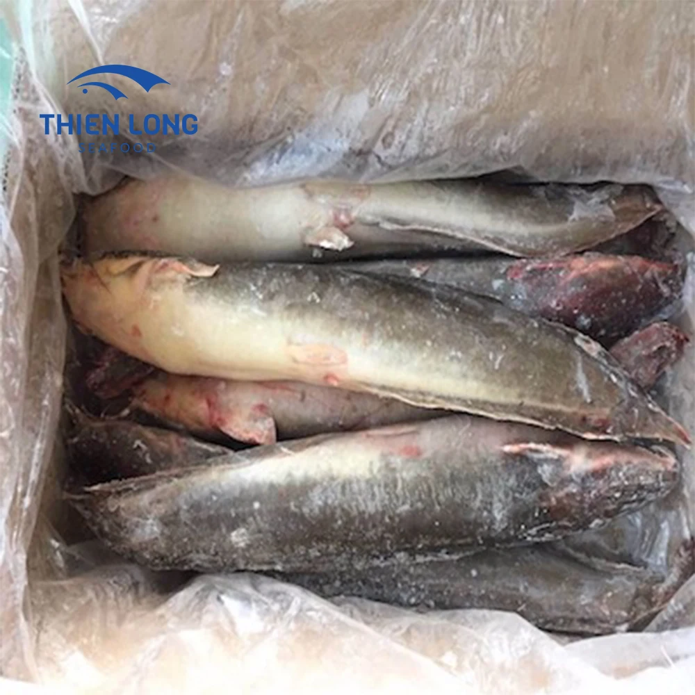 Frozen catfish fresh walking catfish whole cleaned food export products IQF catfish fish