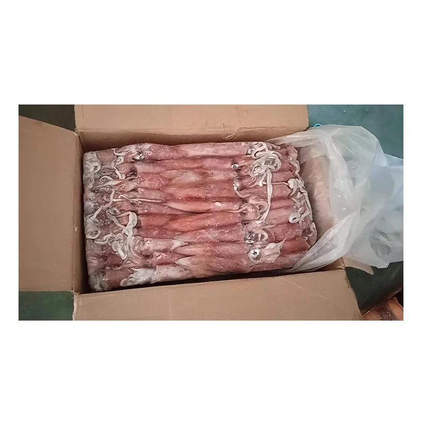 Bulk Stock Available Of Frozen Whole Loligo Squid (Seafood) At Wholesale Prices