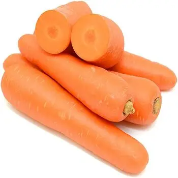 Hot sale ! Wholesales Fresh Vegetables Carrot