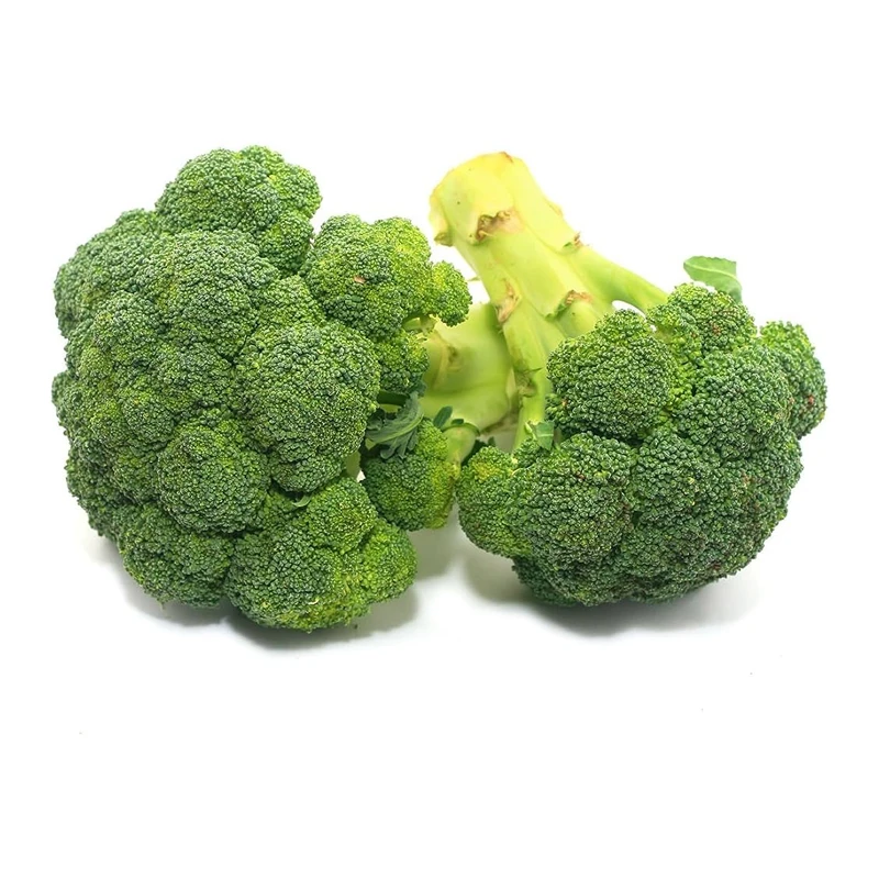 Frozen Exportable Vegetables Fresh Green Broccoli Certified Newly Crop Common Cultivated Bangladeshi Certified Agro Products