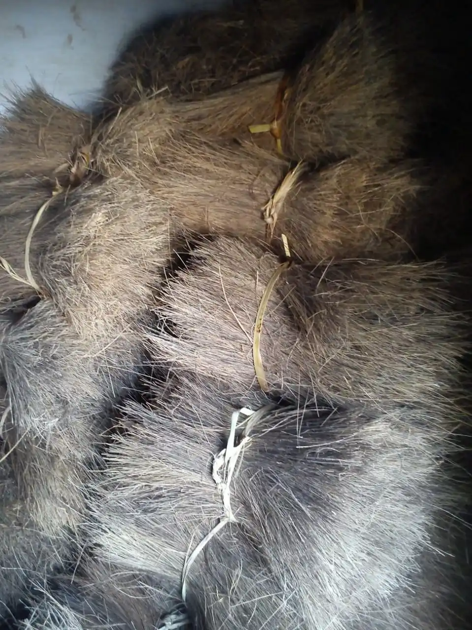 custom made natural palm fibers obtained from palm tree ideal for use in educational and research applications