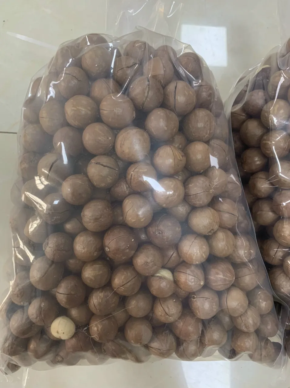 MACADAMIA - The Nut Is Famous For Its Distinctive Greasy Taste (Jennie Vdelta)