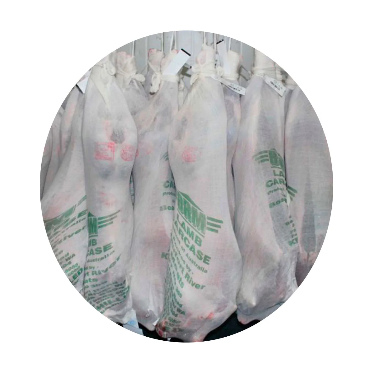 Lamb carcasses fresh lamb meat manufacturer prices whole lamb carcasses for sale