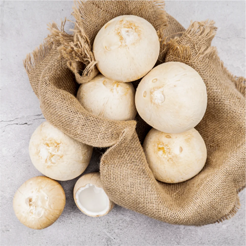 [Best Selling 2022] Top Quality Wholesale Good Price Organic Fresh Young Coconut From Viet Nam