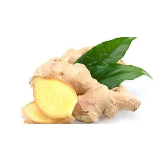 Best Quality Hot Sale Price fresh organic natural ginger / new crop fresh ginger