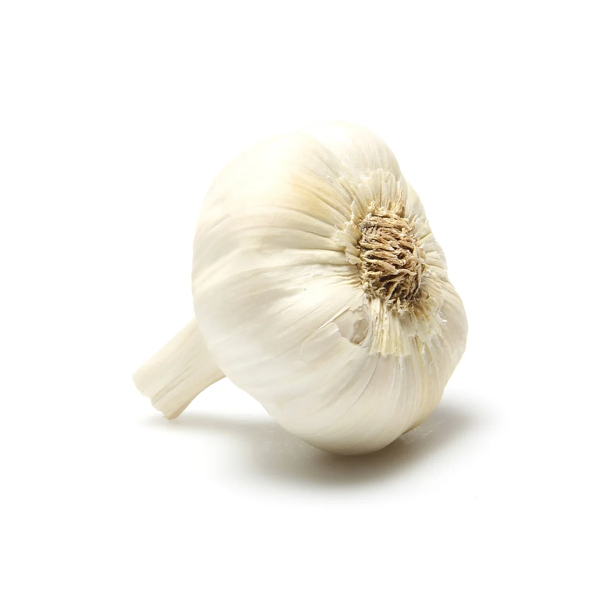 Cheap Price Fresh Garlic Normal White Pure White Garlic Wholesale Garlic