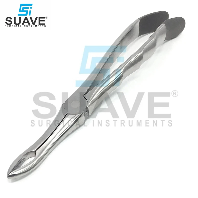 Tooth Extraction Forceps Set Stainless Steel High Quality Dental Tooth Extraction Forceps Set By SUAVE SURGICAL  INSTRUMENTS