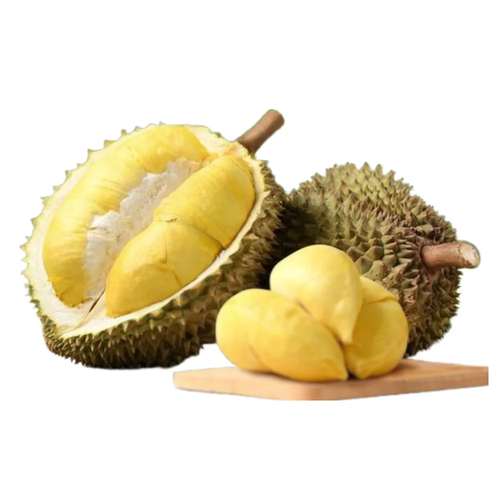 Premium Fresh Durian Fruit from Vietnam Frozen Durian Meat in bulk quantity Popular Exotic Tropical Fruit King of fruits