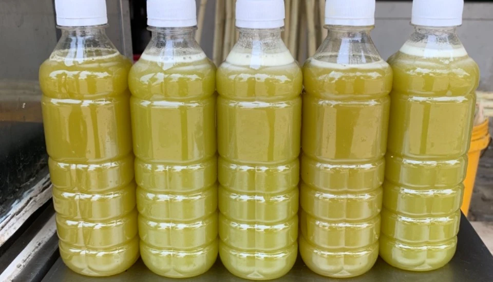 Factory Frozen Sugarcane Juice VIETNAM Sugarcane juice bottle for export Akina
