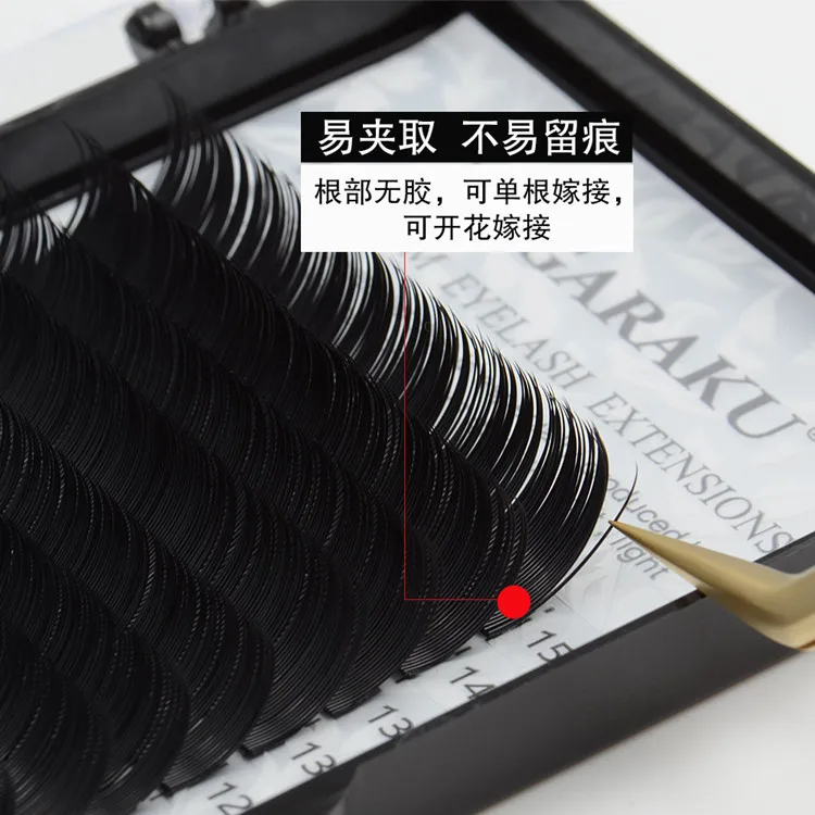  Eyelash Extension (9).jpg