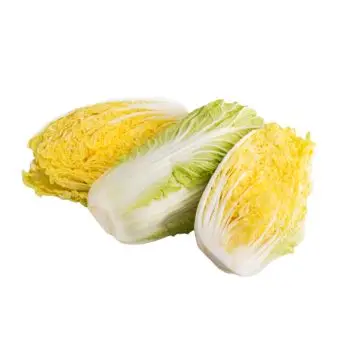 Wholesale Fresh Cabbage Good RED FRESH WHOLE CABBAGE GREEN AND RED