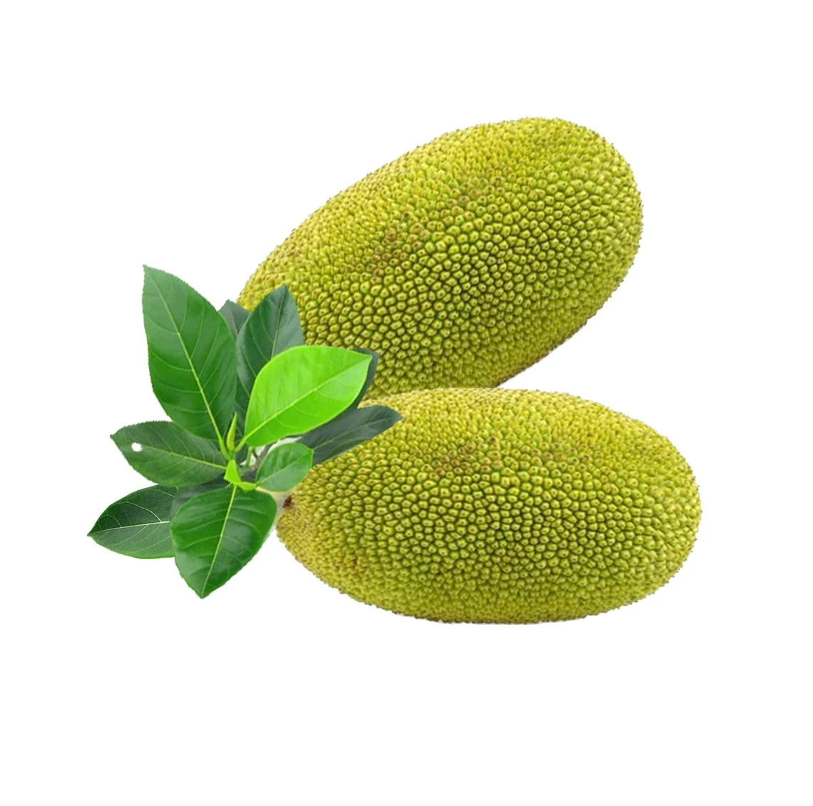 New 2022 Season Frozen Jackfruit Organic Fresh Fruit Good Sweet International Quality with Good Price 0084-903 839 617