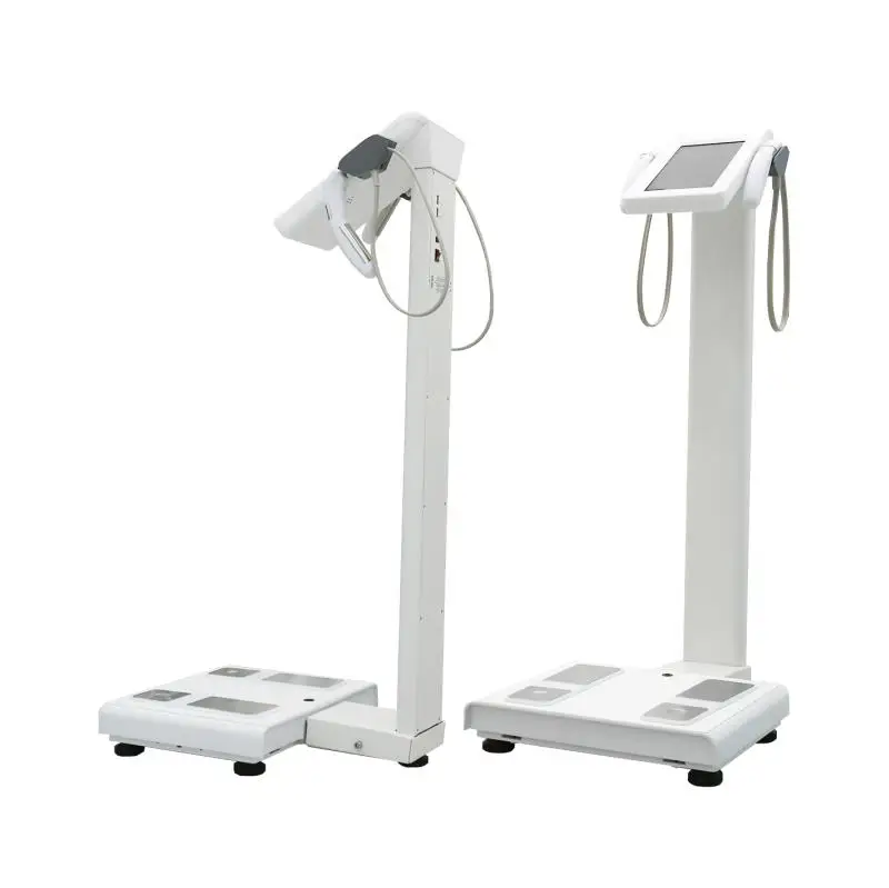 BMI Multi-frequency Multi-limb Bioelectrical Impedance Scale  96% Data Accuracy Body Composition Analyser for Fitness Center