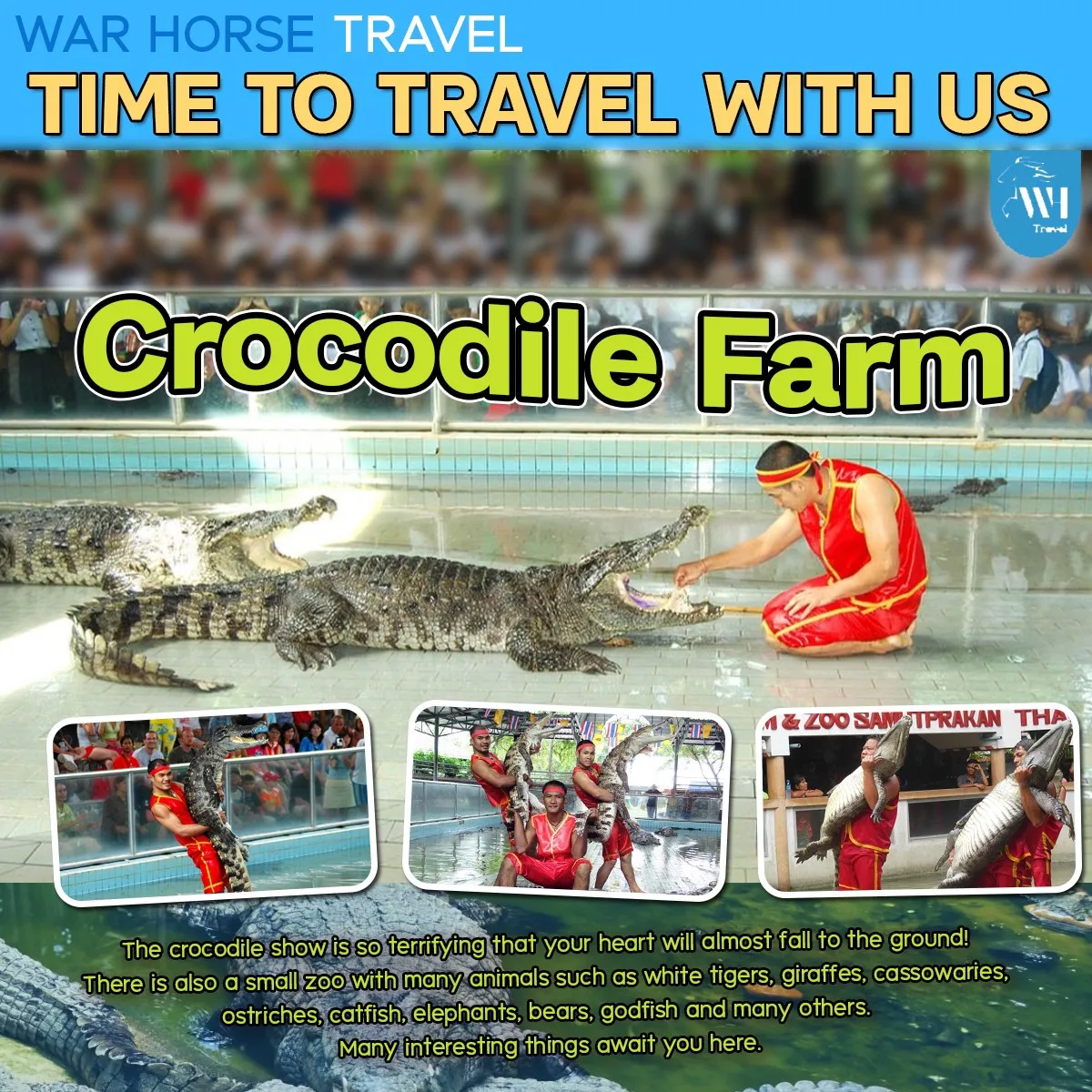 One Day Trip Pattaya Dolphin Show Pick-Up Service Shopping Excitement Happy Family Tour Package Thailand.