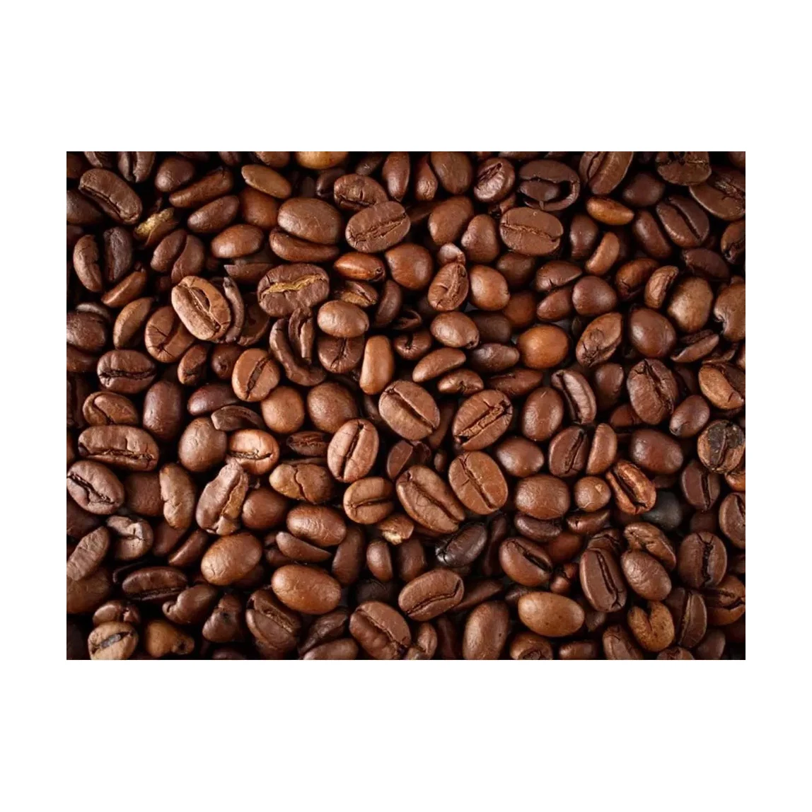 ROBUSTA GREEN COFFEE BEANS HIGH QUALITY REASONABLE PRICE