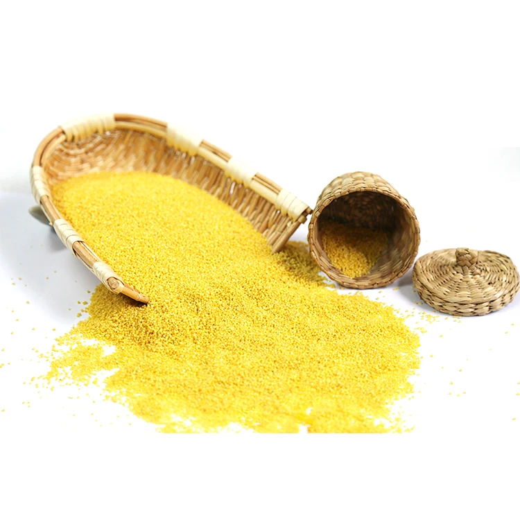 Wholesale Yellow Millet /Black Millet for Birds Food Lo price