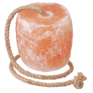 Salt New 2023-24  Animals such as deer sheep goats cattle and elephants make regular visits to the salt resources in nature