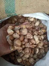 Pure and natural whole betel nut taste of tradition exportable