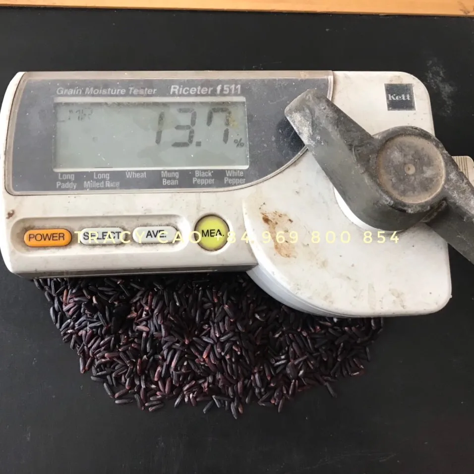 5% BROKEN BLACK RICE SHORT GRAIN PESTICIDE FREE FOR EU STANDARD QUALITY CONTROL RIGHT SPECIFICATIONS