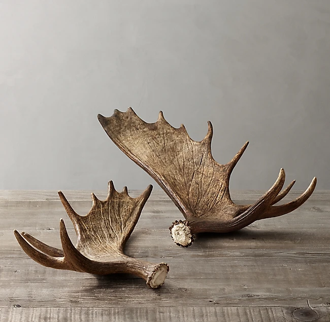 Deer Antler for sell, Elk Antlers for sale