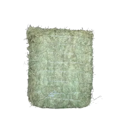 Bulk Rhodes grass hay for sale perfect for feeding livestock and promoting healthy growth