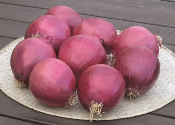 We export onion wholesale all over the world without any delivery charges, it is very tasty and healthy to eat
