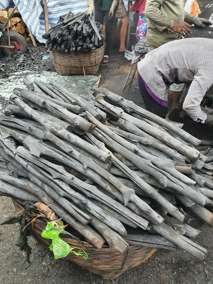 Best Quality Vietnam Original Manufacturer 100% Natural Hardwood Mangrove CHARCOAL mangrove charcoal price