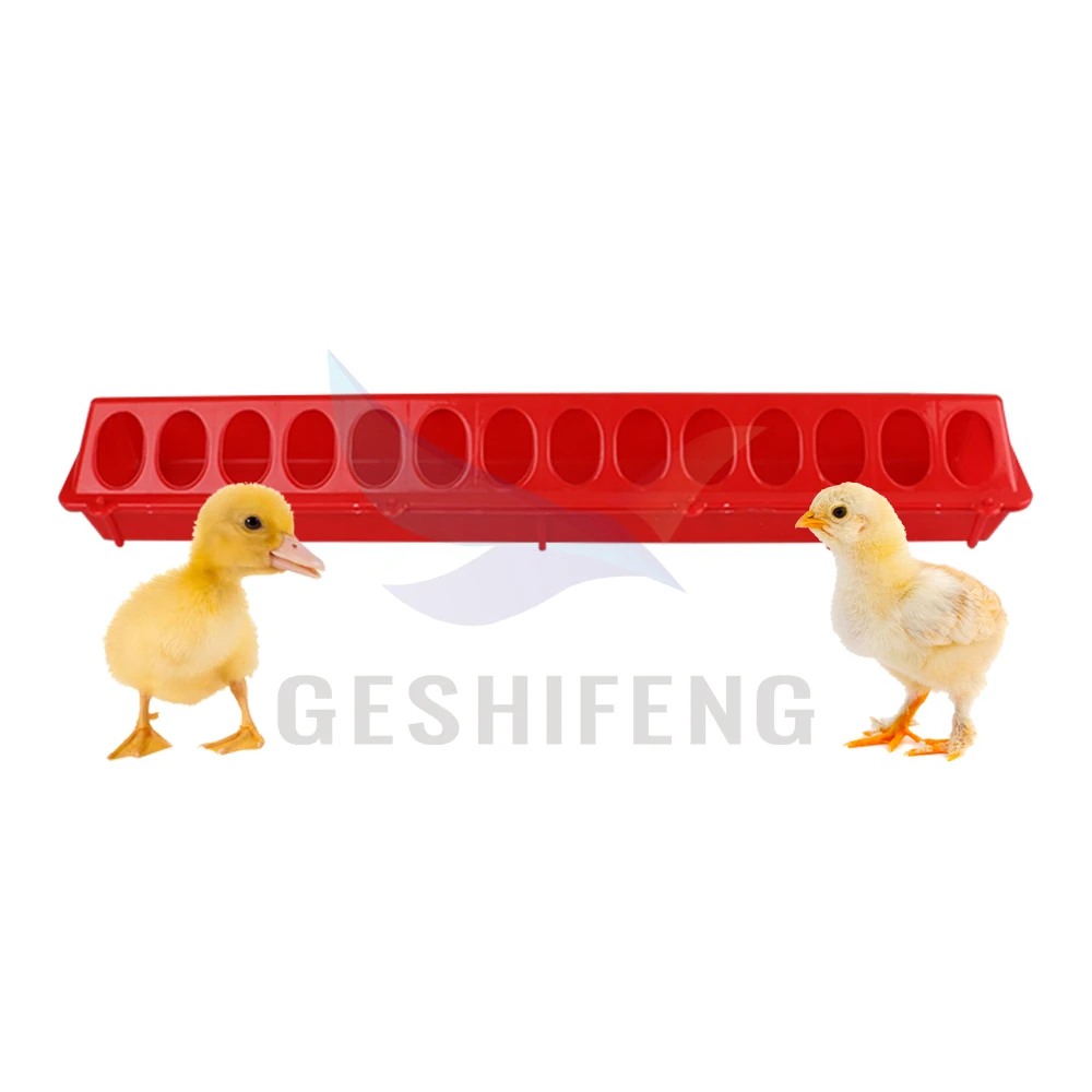 28 Holes Pigeon Quail Baby Chicks Bird Feeder Trough for Farm