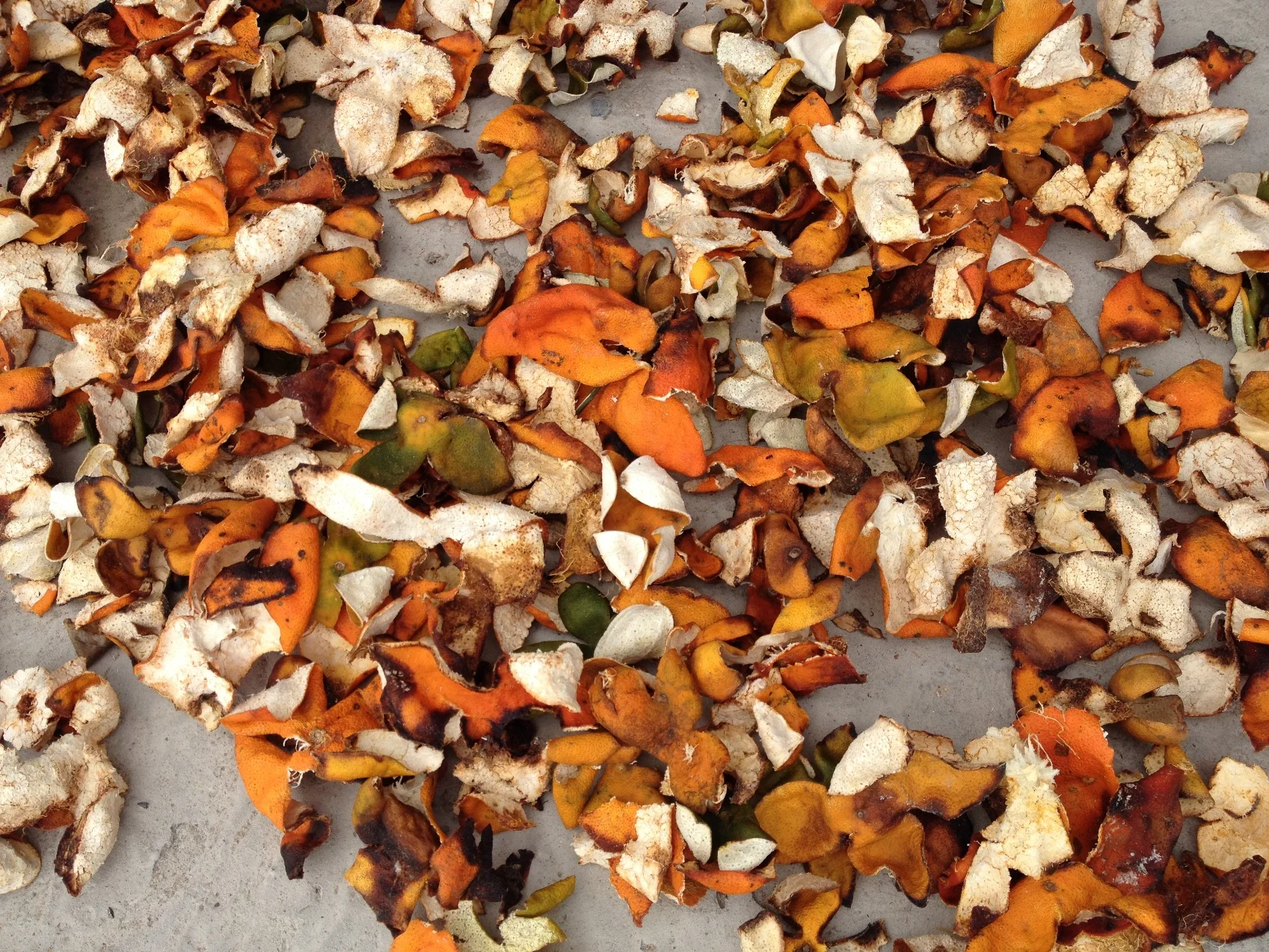 Vietnam Dry aged tree Tangerin peels