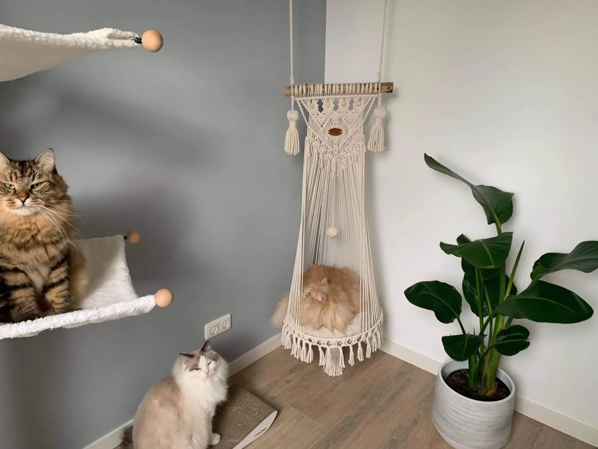 Best selling new design  dogs cats sofa furniture for pet from Vietnam hanging bed for cat