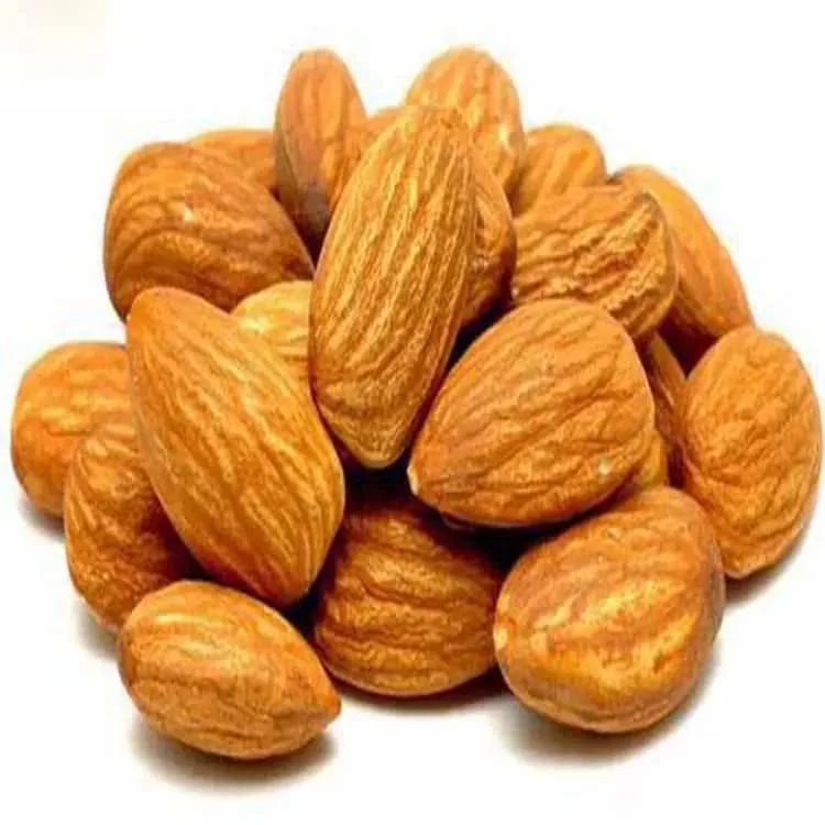 Wholesale Delicious and Healthy Raw Almond Nuts Organic Almonds In Bulk