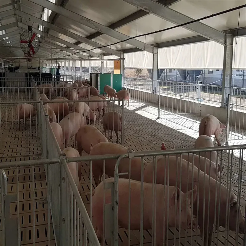 Livestock shelter dairy farm shed Prefabricated Sheep Goat Farming Sheds Design Goat House Farm Sheds for live cattle