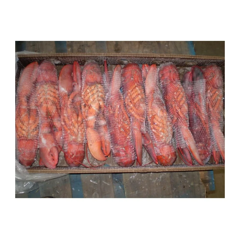 Frozen Rock Lobster Tail Whole Cooked Style Dried Fresh Live Lobster for Food Use