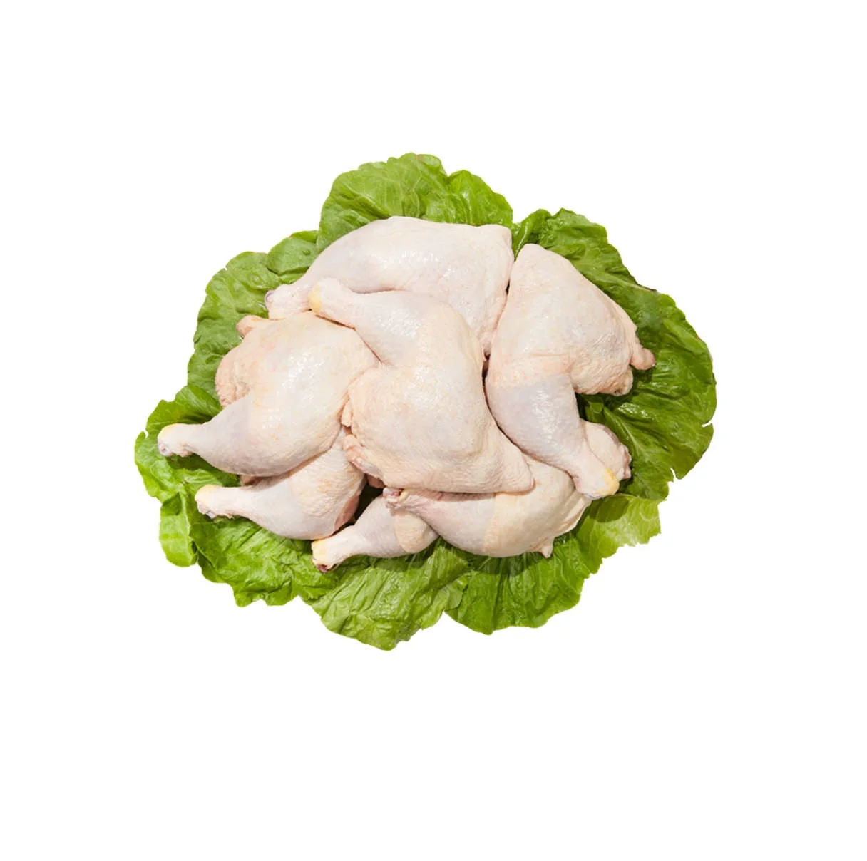 Halal Frozen Chicken Leg / Quarter Chicken Leg /Boneless Skin-on From USA