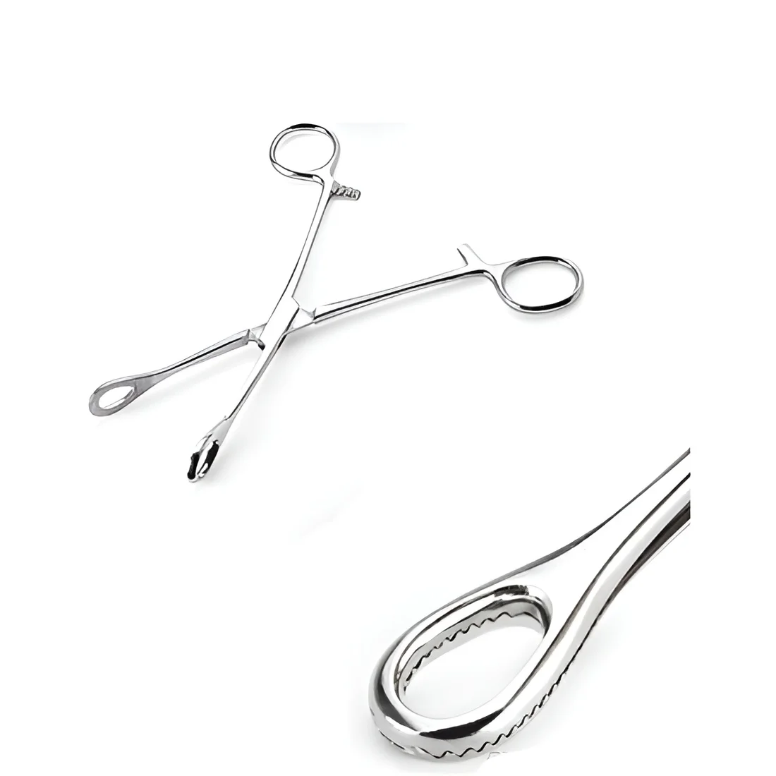 STANDARD FORESTER SPONGE FORCEPS 6